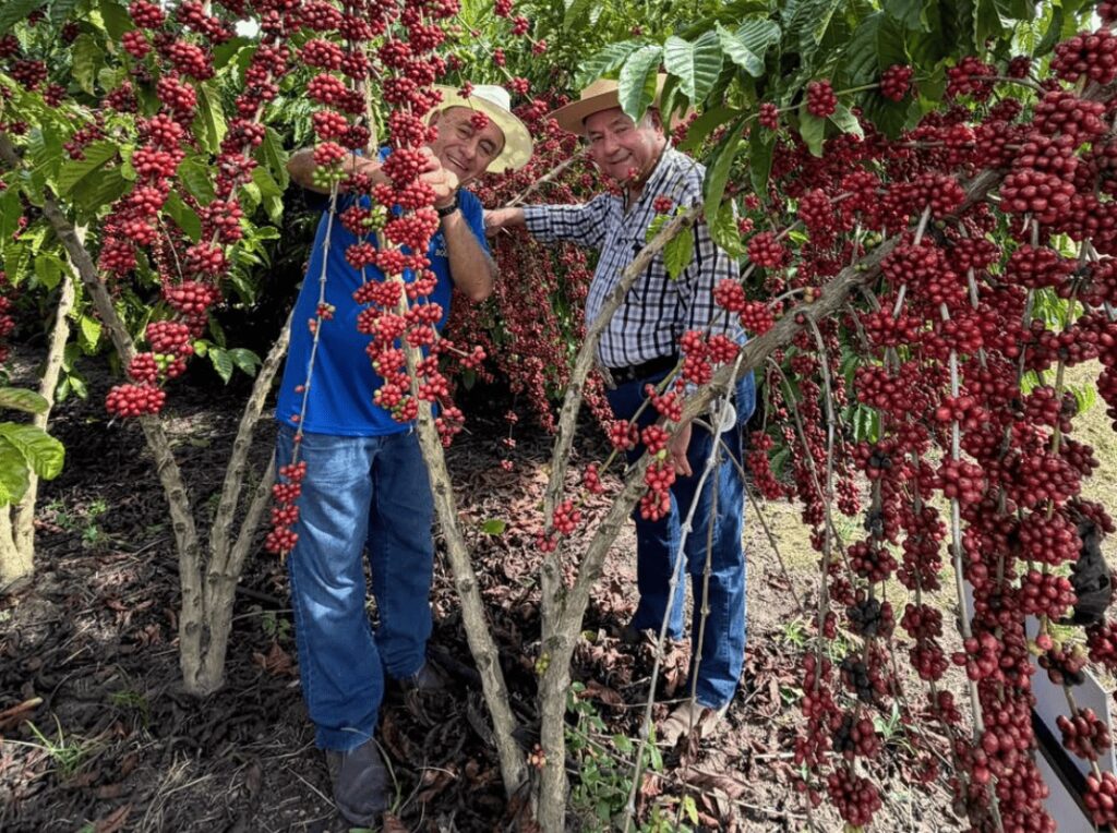 “Quem ganha é a agricultura do nosso estado”: Bocalom reúne centenas de produtores em dia de campo sobre cafeicultura em Acrelândia